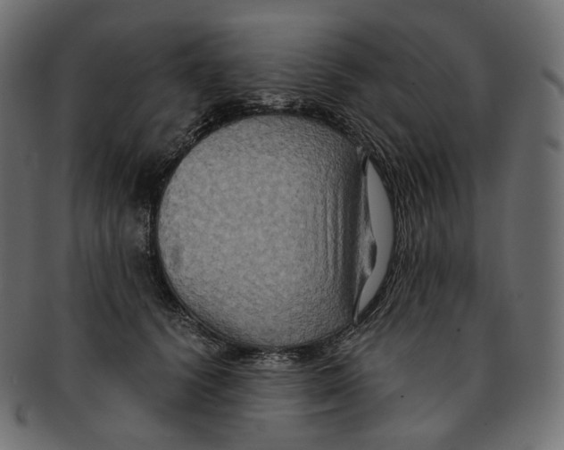 X0000091940656200710031118