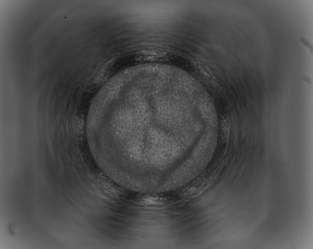 X0000091940657200710031118