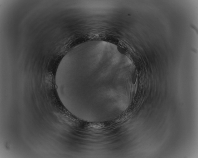 X0000091940659200710031118