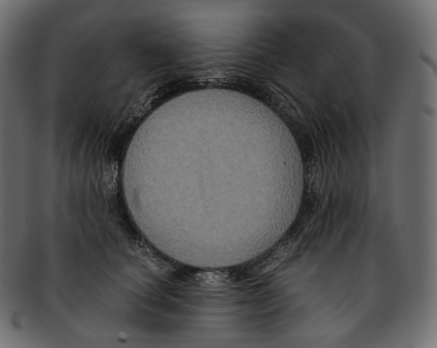 X0000091940660200710031118