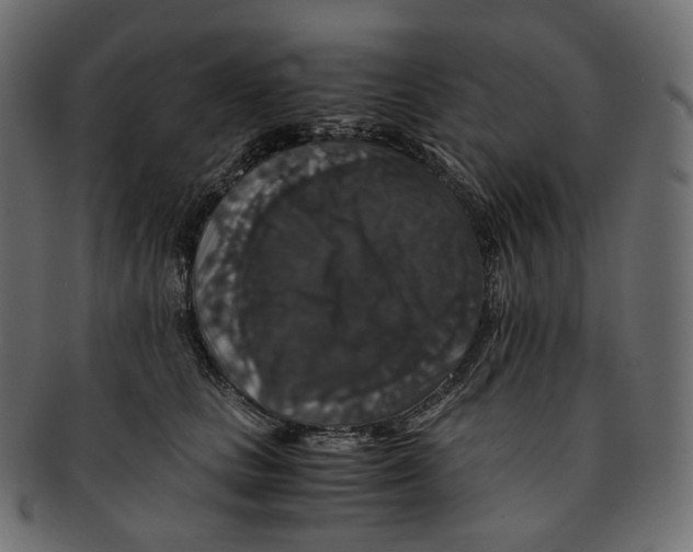 X0000091940661200710031118