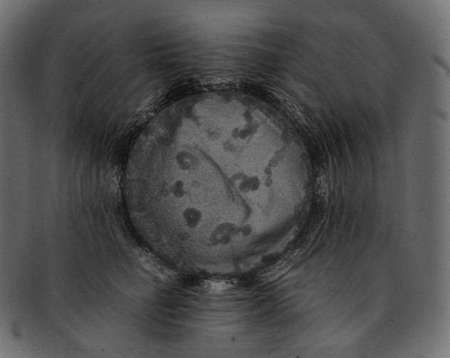 X0000091940662200710031118