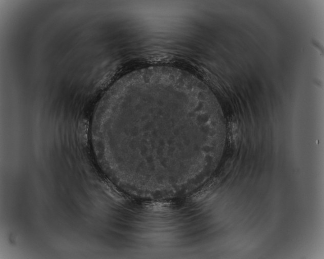 X0000091940664200710031118