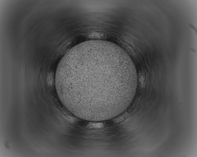 X0000091940665200710031118