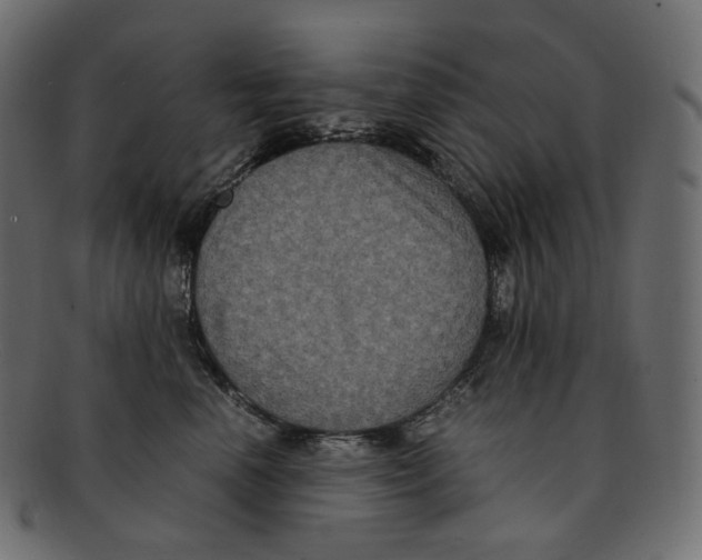 X0000091940666200710031118