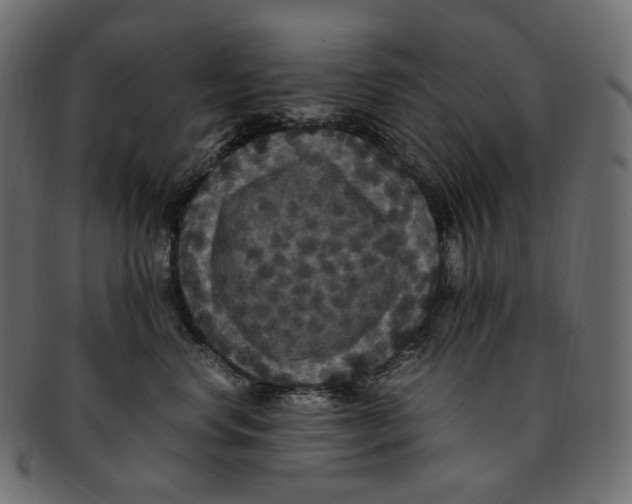 X0000091940668200710031119