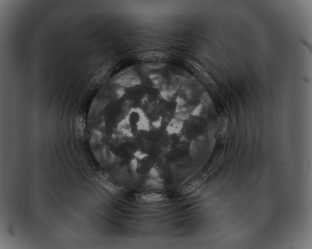 X0000091940669200710031119