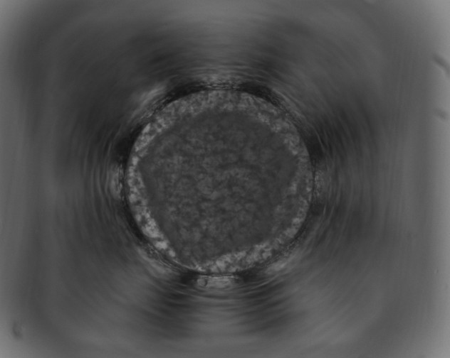 X0000091940671200710031119