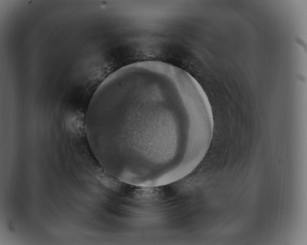 X0000091940672200710031119