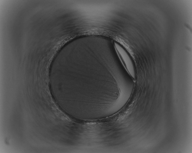 X0000091940673200710031118