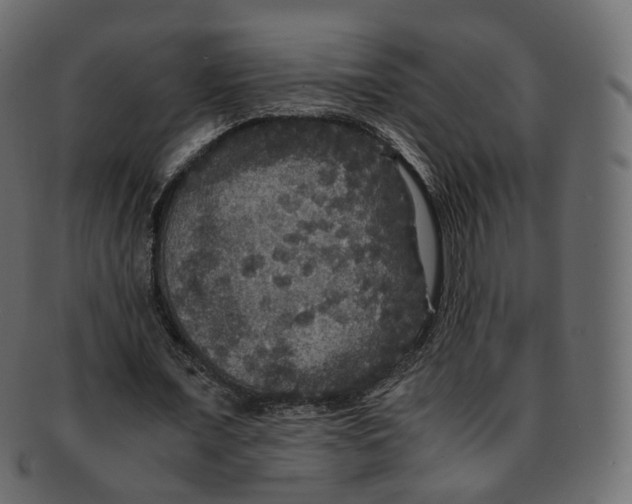 X0000091940675200710031118