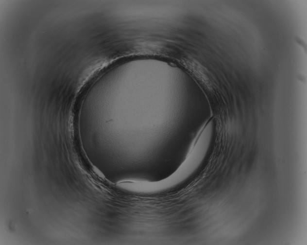 X0000091940676200710031118