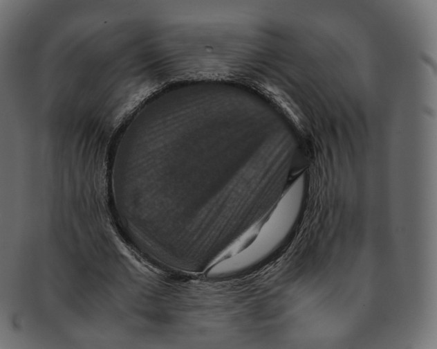 X0000091940677200710031118