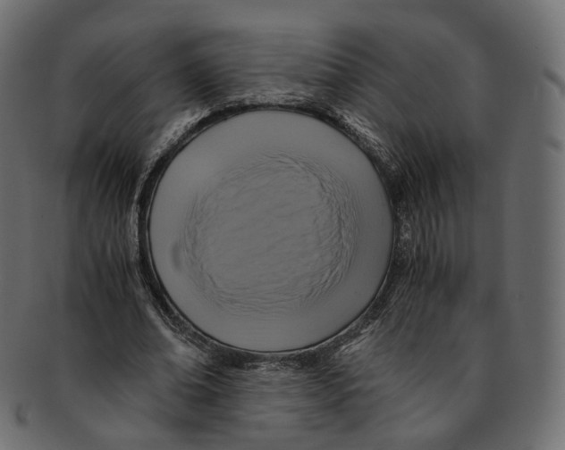 X0000091940678200710031118