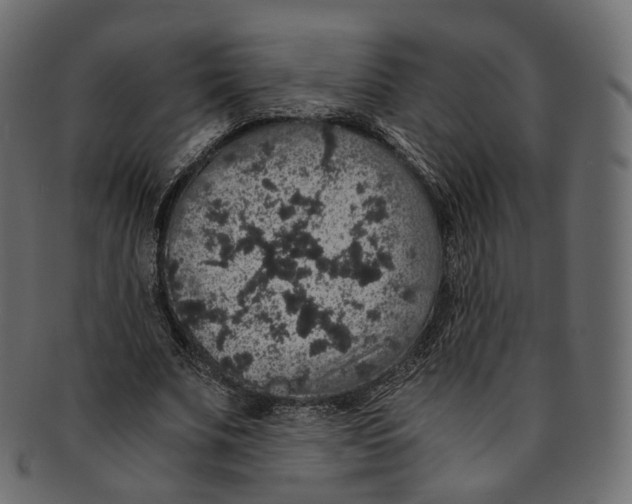 X0000091940679200710031118