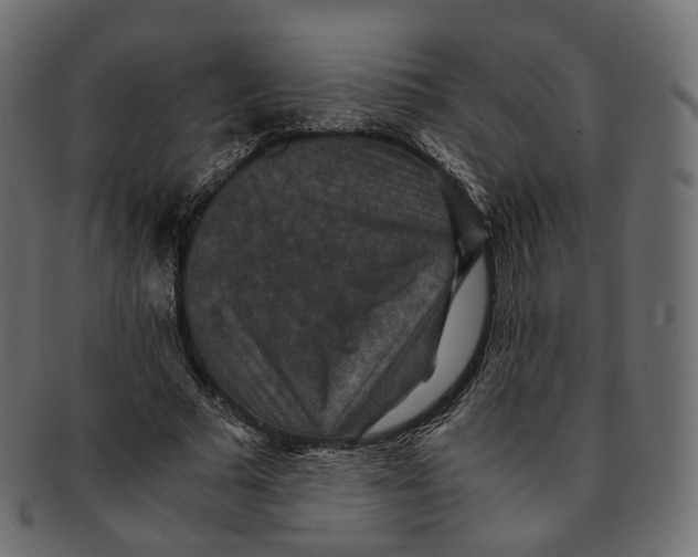 X0000091940681200710031118