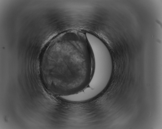 X0000091940684200710031118