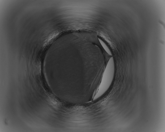 X0000091940685200710031118