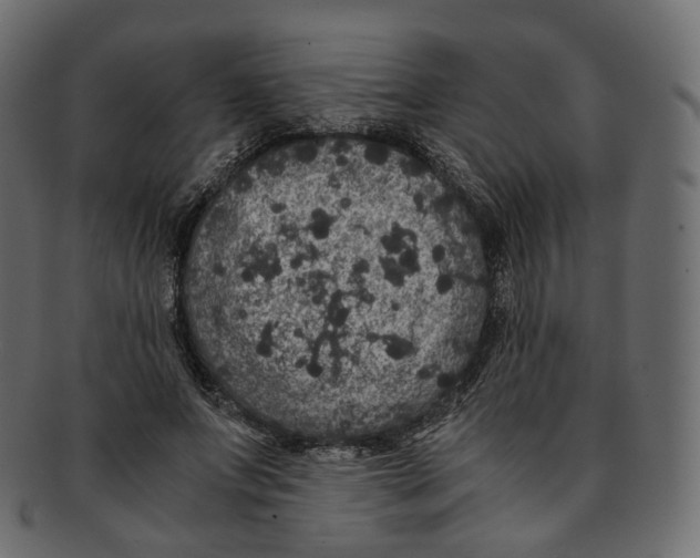 X0000091940687200710031118