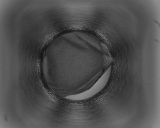 X0000091940688200710031118