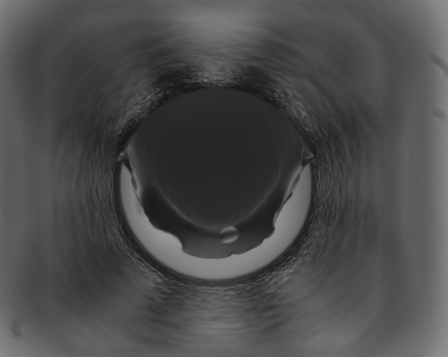 X0000091940689200710031118