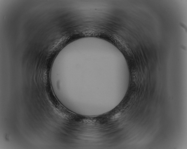 X0000091940690200710031118