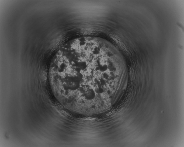 X0000091940691200710031118