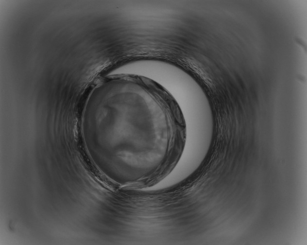 X0000091940692200710031118