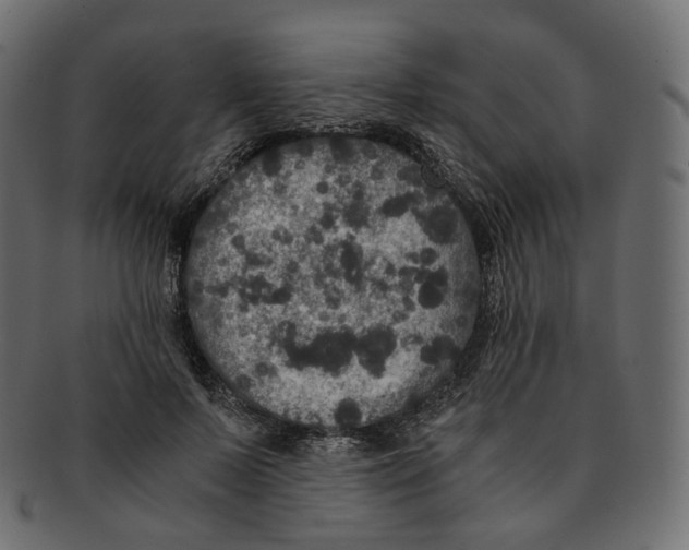 X0000091940695200710031118