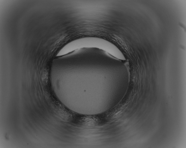 X0000091940697200710031118