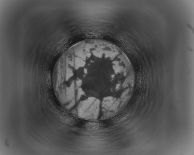 X0000091940699200710031118