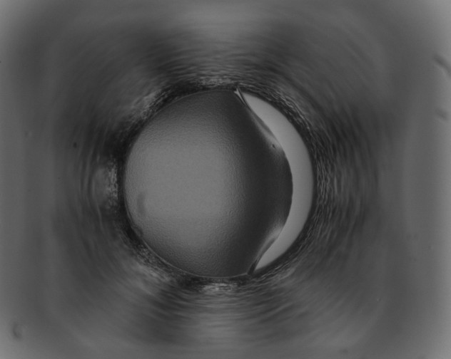 X0000091940700200710031118