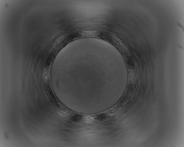 X0000091940701200710031118