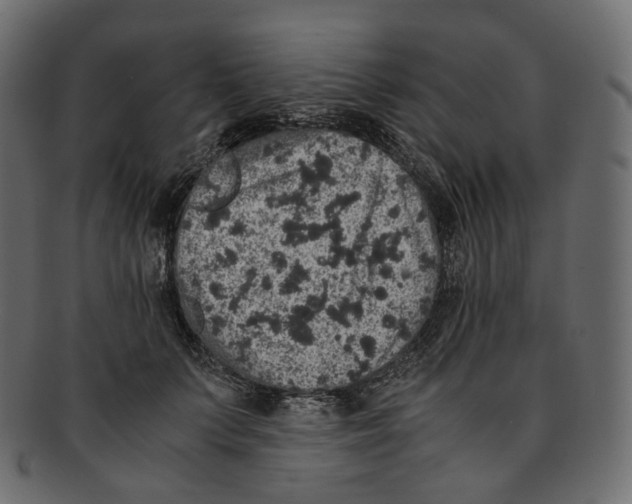 X0000091940703200710031118