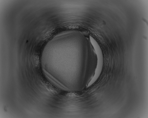 X0000091940704200710031118