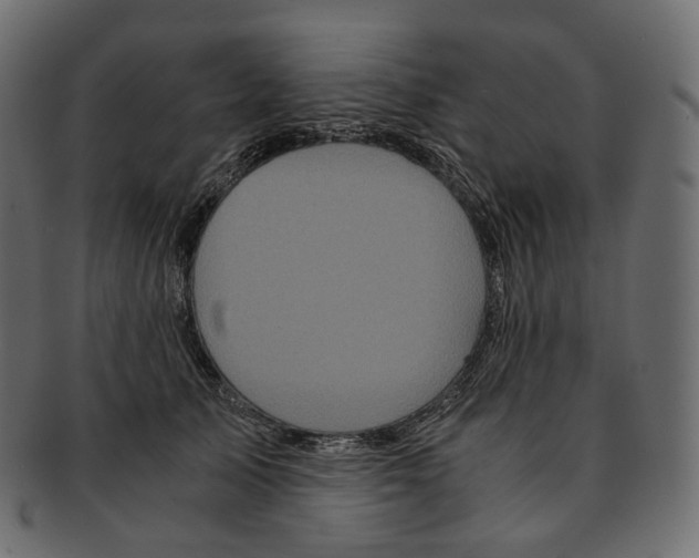 X0000091940705200710031118