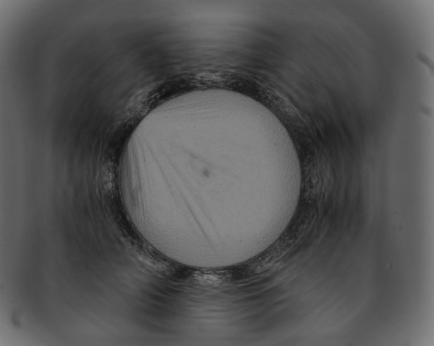 X0000091940706200710031118