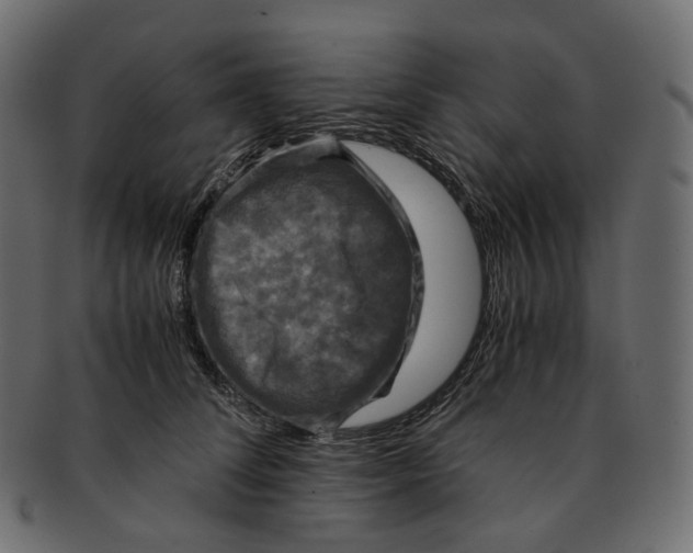 X0000091940708200710031118