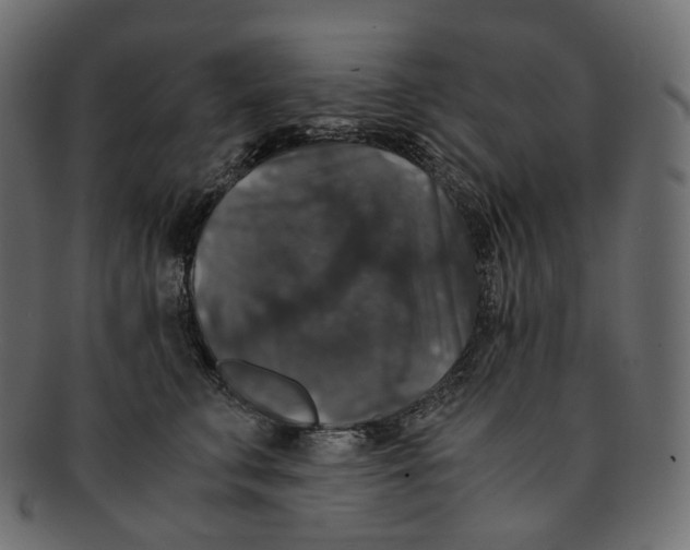 X0000091940711200710031118