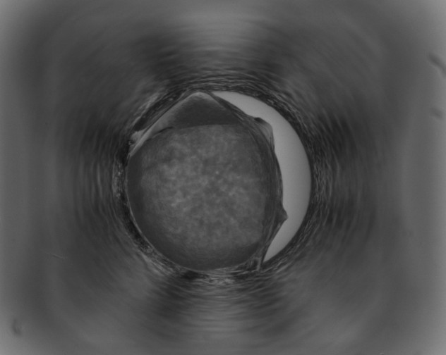 X0000091940712200710031118