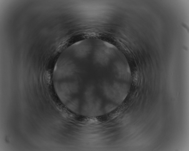 X0000091940715200710031117