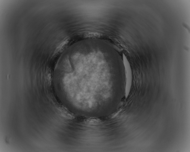 X0000091940716200710031117