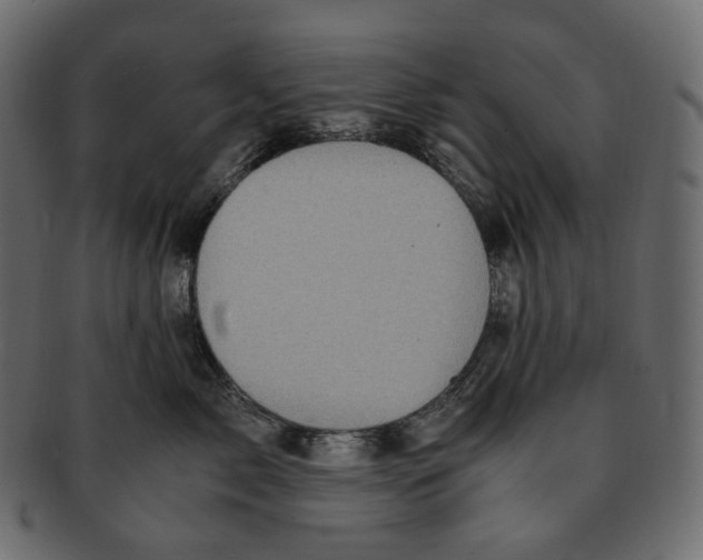 X0000091940717200710031117