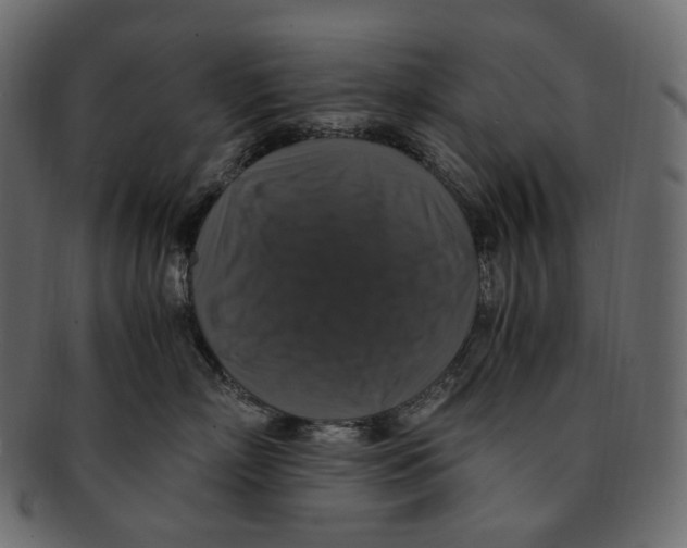 X0000091940718200710031117