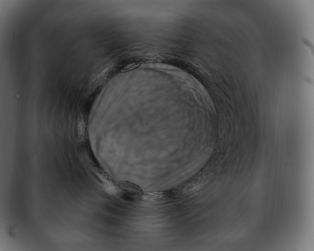 X0000091940720200710031117