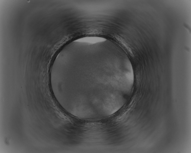 X0000091940721200710031117