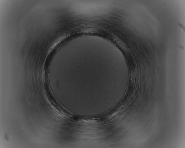 X0000091940722200710031117