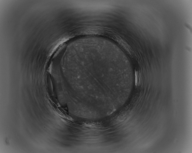 X0000091940723200710031117