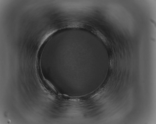 X0000091940724200710031117