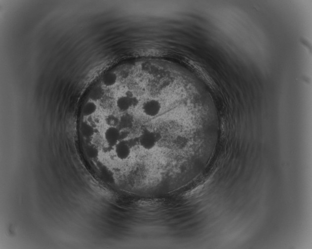 X0000091940725200710031117